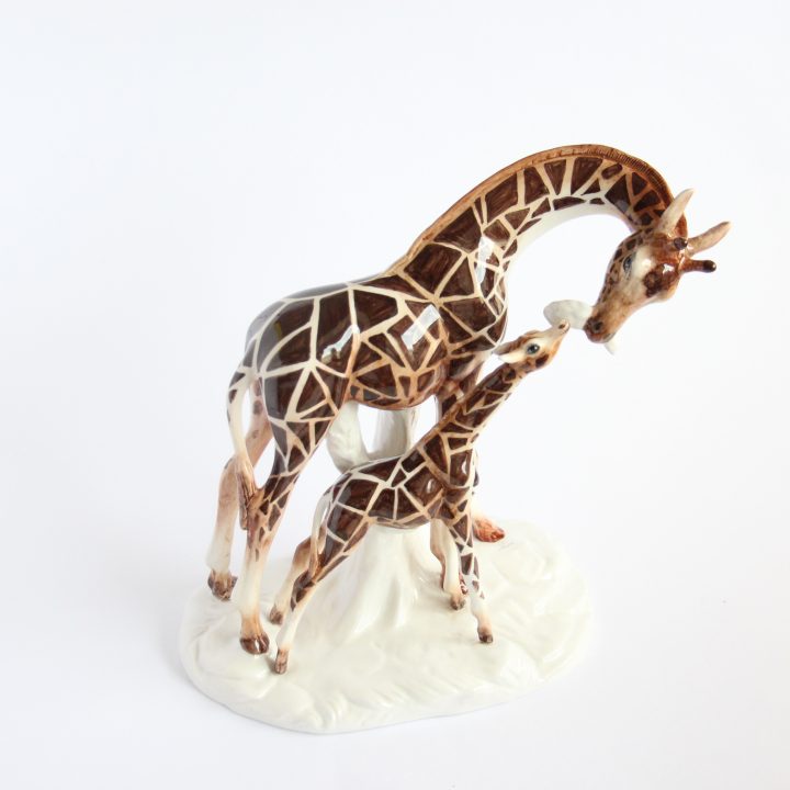 Giraffe family
