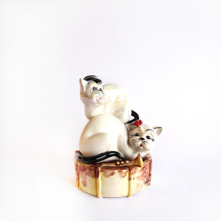 Cats on the drum