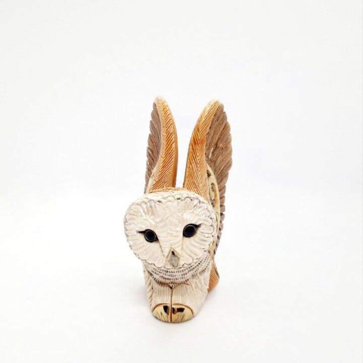 Barn owl