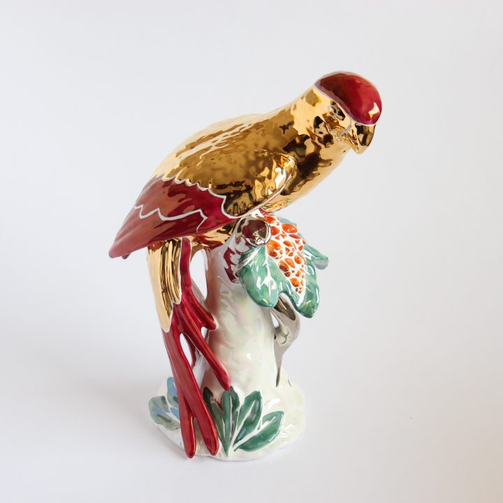 Red and Gold Parrot